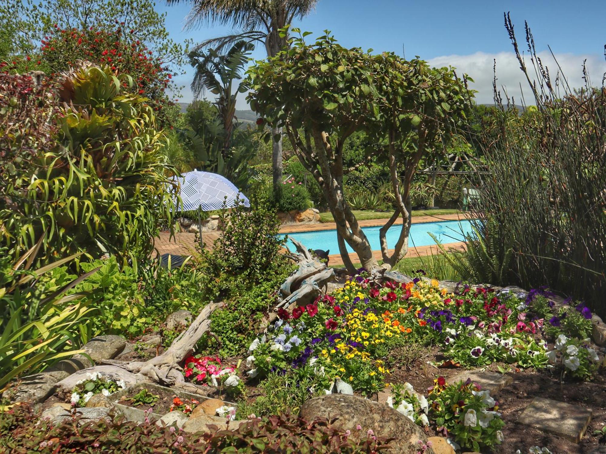 Ferienwohnung Footprints Of Knysna Exterior foto